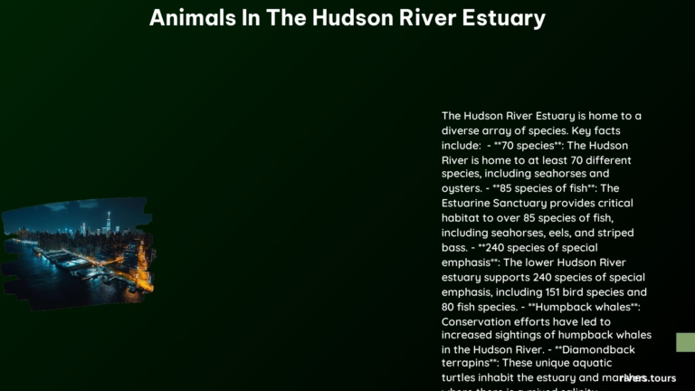 Animals in the Hudson River Estuary