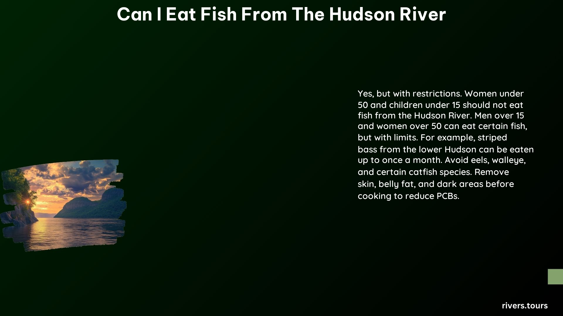 Can I Eat Fish From the Hudson River