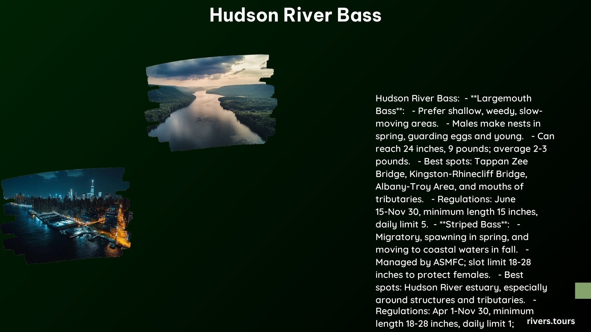 Hudson River Bass