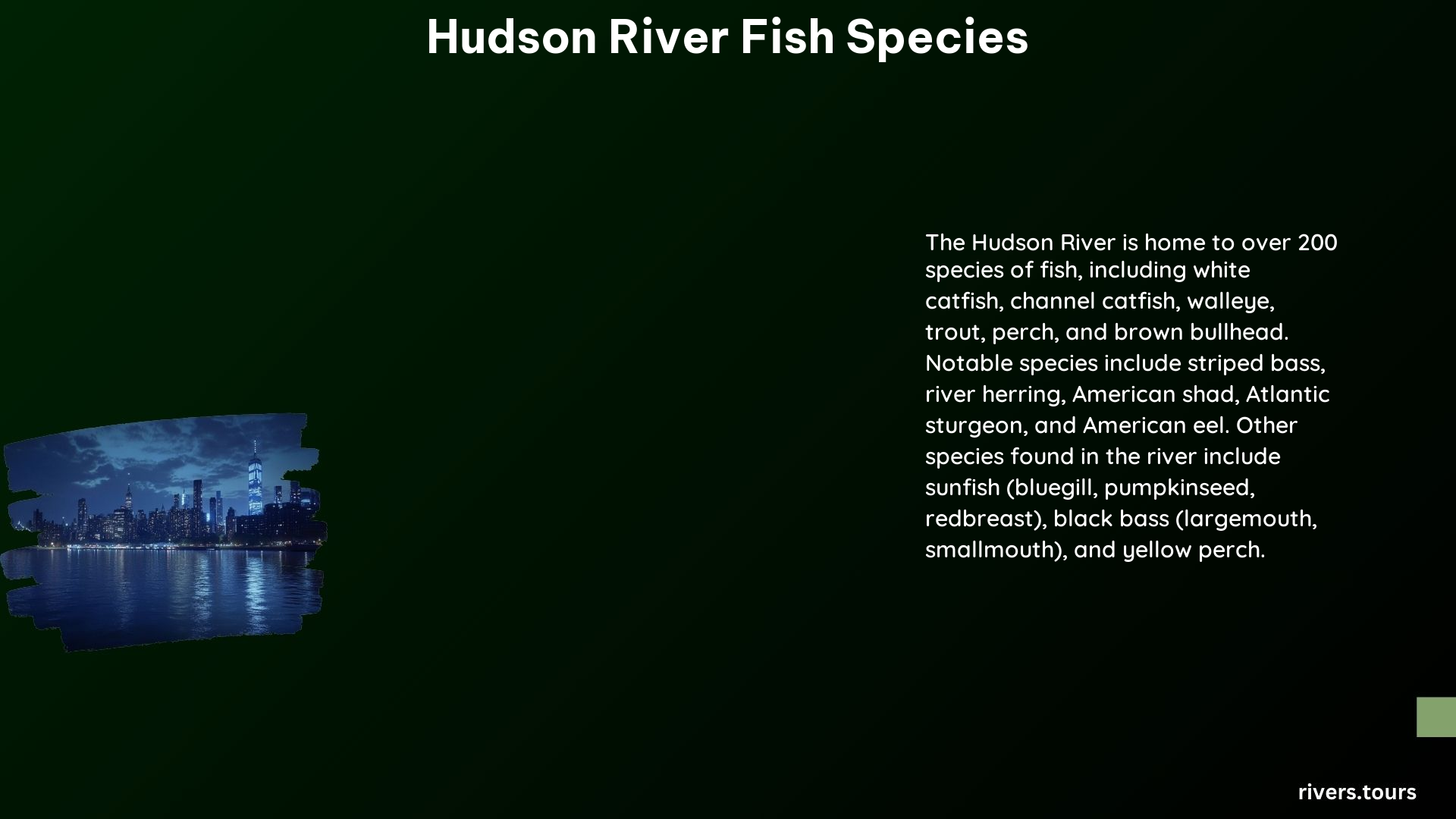 Hudson River Fish Species