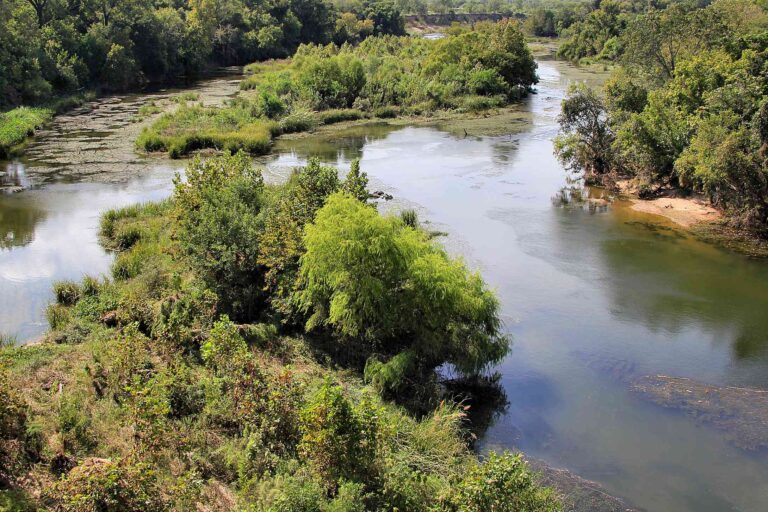 Colorado River 28