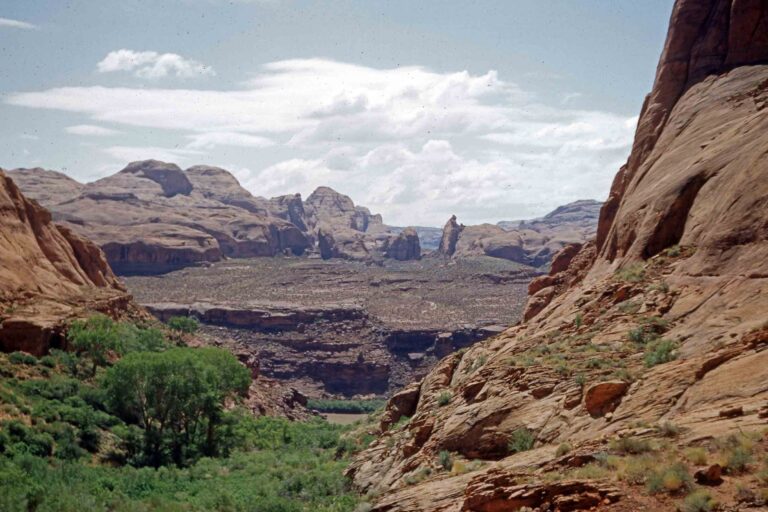 Colorado River 31